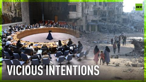 UNSC taken hostage by US to prevent end of war in Gaza - Russia