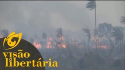 Você lembra que a Amazônia estava pegando fogo? - HD | Visão Libertária - 09/04/20 | ANCAPSU