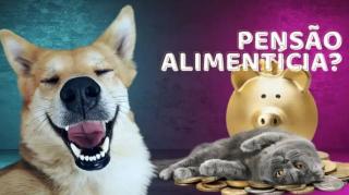 OS HOMENS CASADOS OU DIVORCIADOS ESTÃO FRITOS. VÃO SUSTENTAR EX MULHER,  FILHOS E PETS!