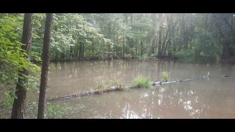 Why We Left Part 81 - SYSBM