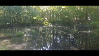 Normal Equals Boring Part 6 - Mgtow