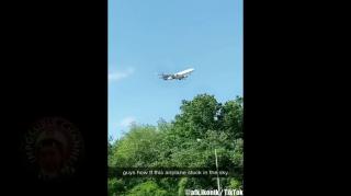 Mysterious Glitch Videos That Are Creeping Everyone Out - The Simulation Mystery