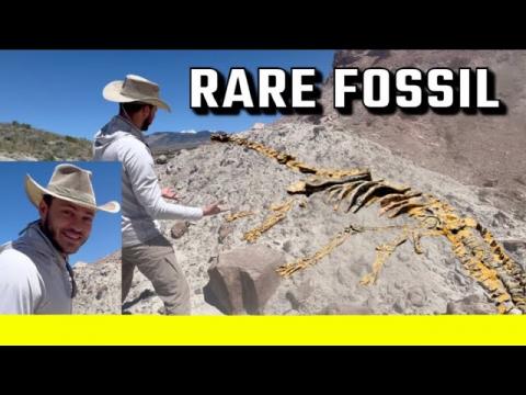Finding Dinosaur Fossils Without Any Special Equipment