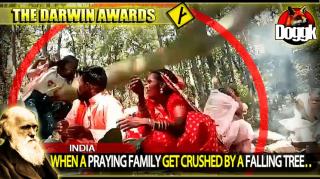 [+16] DARWIN AWARDS : WHEN A PRAYING FAMILY GETS CRUSHED BY A FALLING TREE.. (INDIA) >> INSANE !!