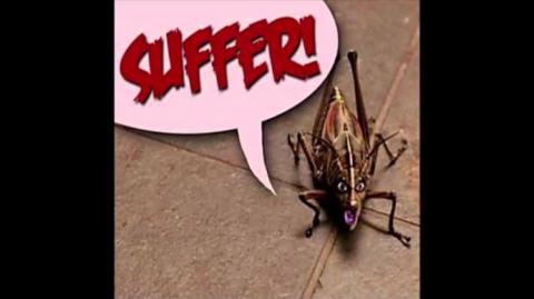 Women's SUFFERING Is Completely SELF Inflicted!!