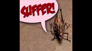 Women's SUFFERING Is Completely SELF Inflicted!!