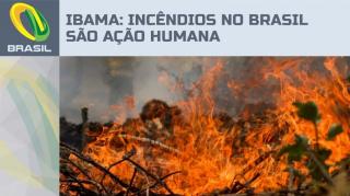 Ibama diz que 100% das queimadas no Brasil são ação humana (27 de ago. de 2024)