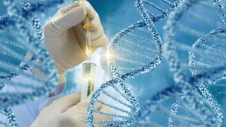 THERE IS A WAR FOR YOUR DNA