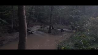 Self Inflicted Part 40 - Mgtow