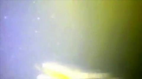 Diving on a sunken ship 3 days after it sinks - Guess what they found
