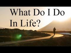 What Should I Do In Life?