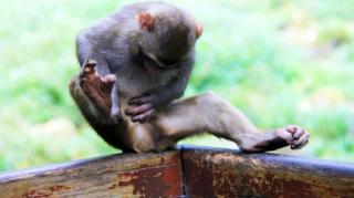 CASO BIZARRO - HOMEM É ACUSADO DE IMPORTUNAÇÃO SEXUAL POR TER COÇADO SUA PARTE ÍNTIMA!