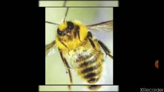 Um dia de Fúria - MULHERES COM SÍNDROME DE 50 TONS DE CINZA