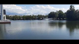 Self Inflicted Part 39 - Mgtow