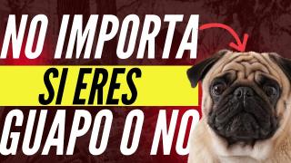 No Debe Importarte Si Eres Guapo o No