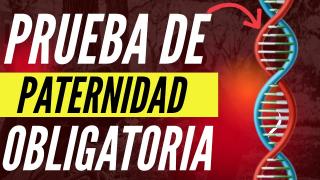 La Prueba De Paternidad Debe Ser Obligatoria