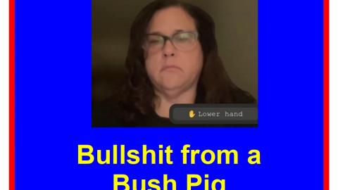 A Bush Pig and HER Bullshit - From Narcotics Anonymous