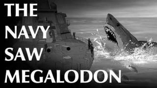 USN Petty Officer and Others Report Megalodon Sightings