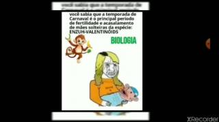 Um dia de Fúria - ESQUERDA e DIREITA UNIDAS Isso é realidade na BANCADA FEMININA