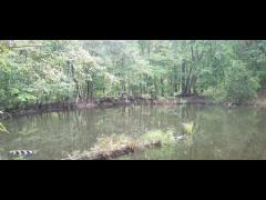 Cuffing Season 2024 - Preview