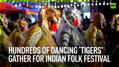 Hundreds of dancing ‘tigers’ gather for Indian folk festival