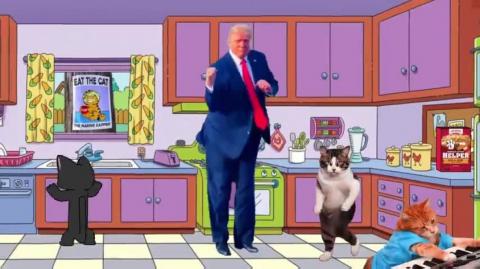 Eat the Cats, Eat the Dogs