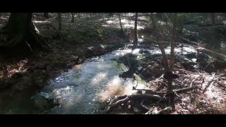 Why So Happy - Mgtow