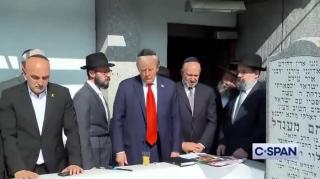 Zion Don and His Sneaky Whispering Jew Buddies - See my pinned comment.