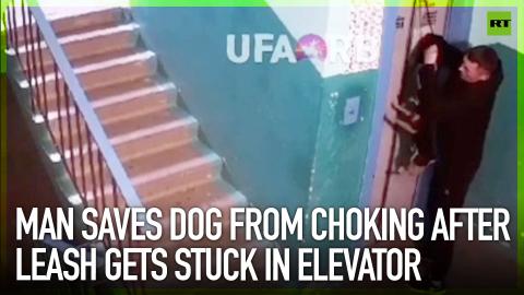 Man saves dog from choking after leash gets stuck in elevator