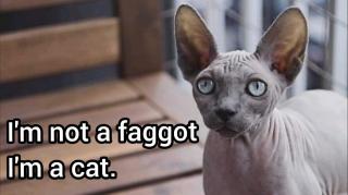 Hats off to the policeman.