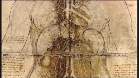 Drawing - The Line of Inquiry