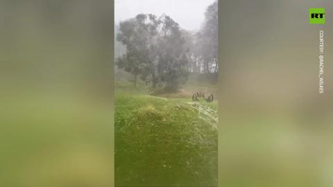 Violent mudslide tears through North Carolina home