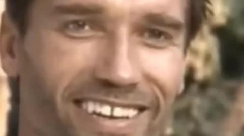 Schwarzenegger is a MENACE