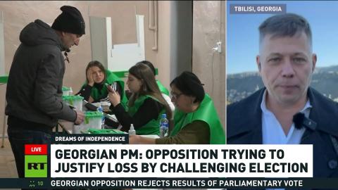 Cleanest election Georgia has ever had – Stanislav Krapivnik