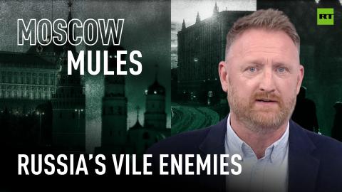 Moscow Mules | Bisexual Cat, Zelly-no-friends, NAFOtards and other vile enemies of Russia