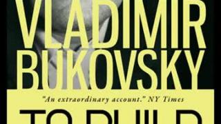 To Build a Castle (Vladimir Bukovsky) #2