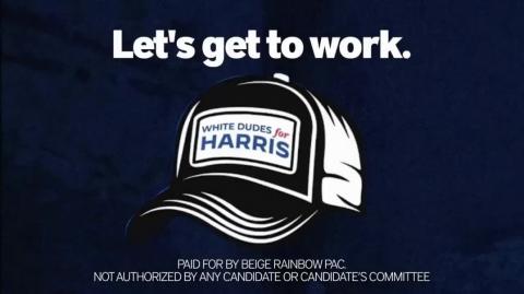 Democrats Are Not OK   Election Anxiety & Cringe Campaign Ads