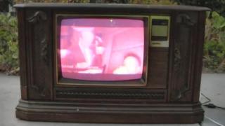 Shango066 - The Crackd EOL