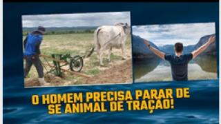 O HOMEM COMO ANIMAL DE TRAÇÃO E SUA DOMESTICAÇÃO DIANTE DAS EXIGÊNCIAS DE SUAS COMPANHEIRAS!