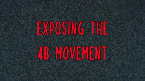 Mr. Obvious - Women Are Not Okay - Exposing the 4B Movement