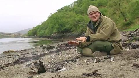 Sea Side Feasts - Us and Our Ancestors