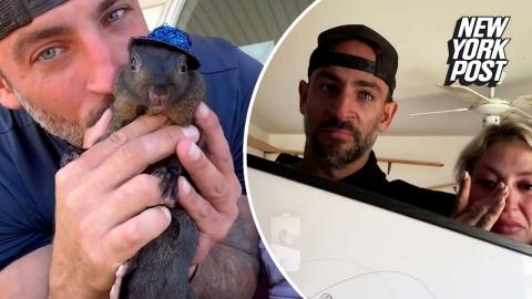 New York Ignores Drug Dealers and Killers While Killing Illegal Pet Squirrels
