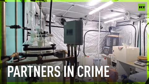 Partners in crime | Couple arrested for drug production in Moscow region