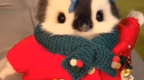 So cute 🥺🥺🥰🥰