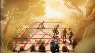 Macacos Desenvolvidos Criam Religiões!