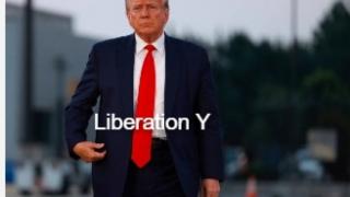 President-elect Trump.....Now What?     -->  MGTOW