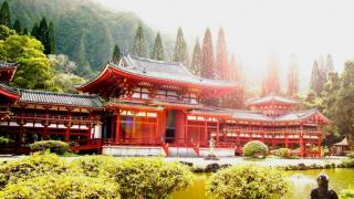 LATIN MGTOW - LOS HOMBRES HERBÍVOROS - Serie Principal - Capitulo 57