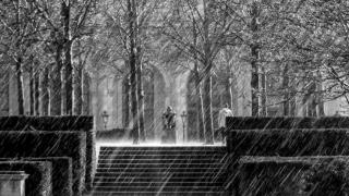 LATIN MGTOW - HOMBRES AMARGADOS - Serie Principal - Capitulo 15