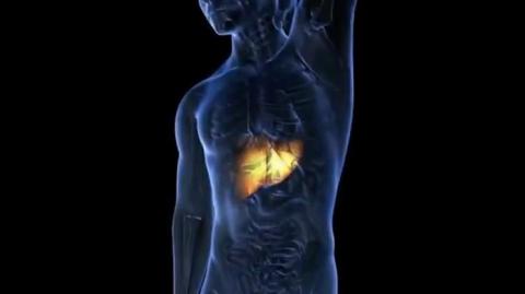 THIS REVERSES Fatty Liver in Just 14 Days - Barbara O'Neill