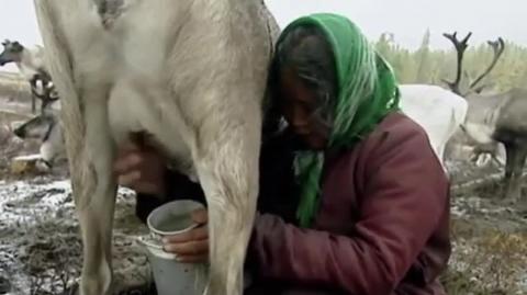 Raw milk makes you strong and heals you, don't be a seed and grain muncher !